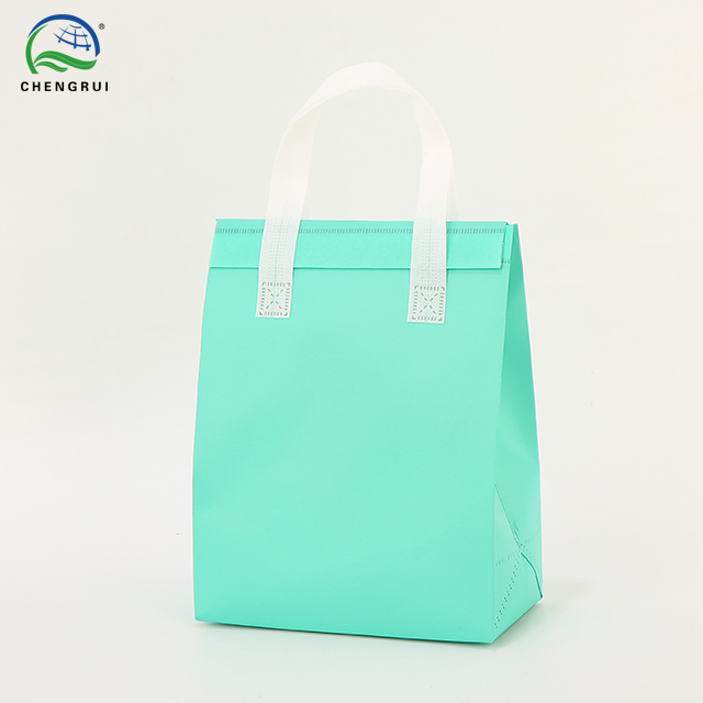 Insulated Bag