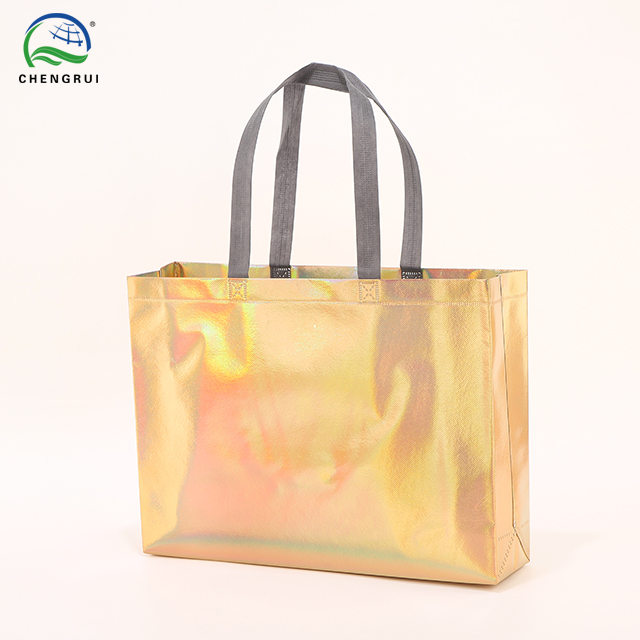 Holographic Gusseted Bag