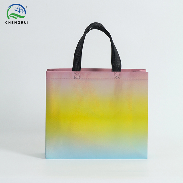 Laminated Bag