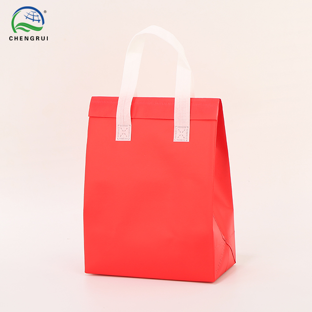 Insulated Bag