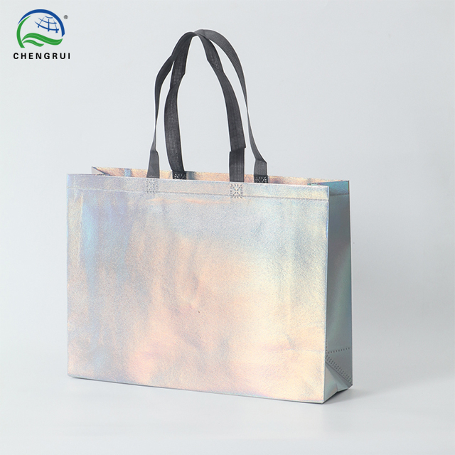 Holographic Gusseted Bag