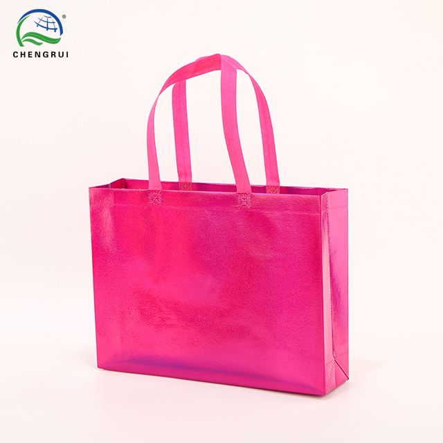 Holographic Gusseted Bag
