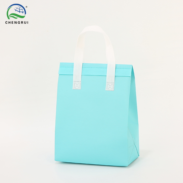 Insulated Bag