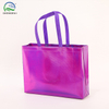 Holographic Gusseted Bag