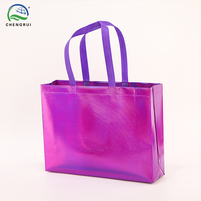 Holographic Gusseted Bag