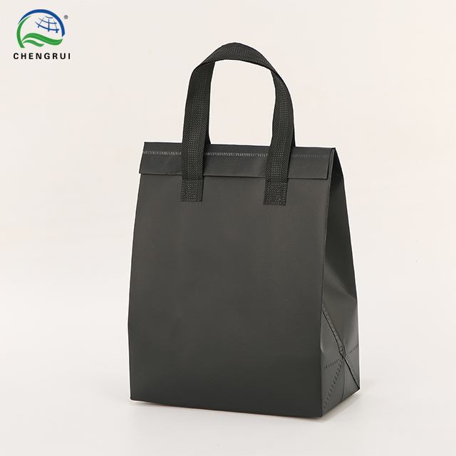 Insulated Bag