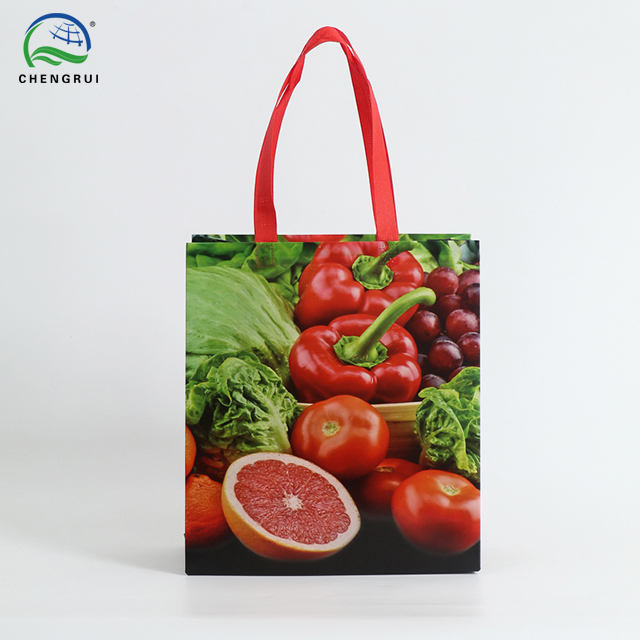 Laminated Bag
