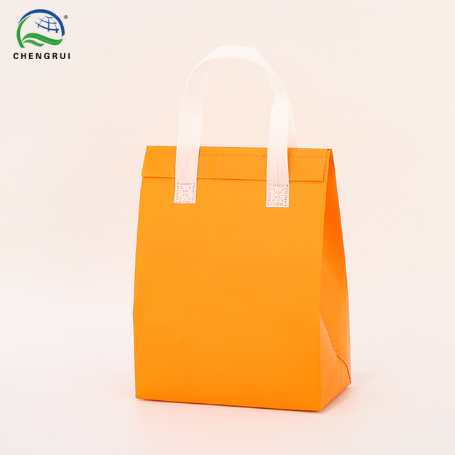 Insulated Bag