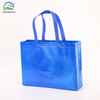 Holographic Gusseted Bag