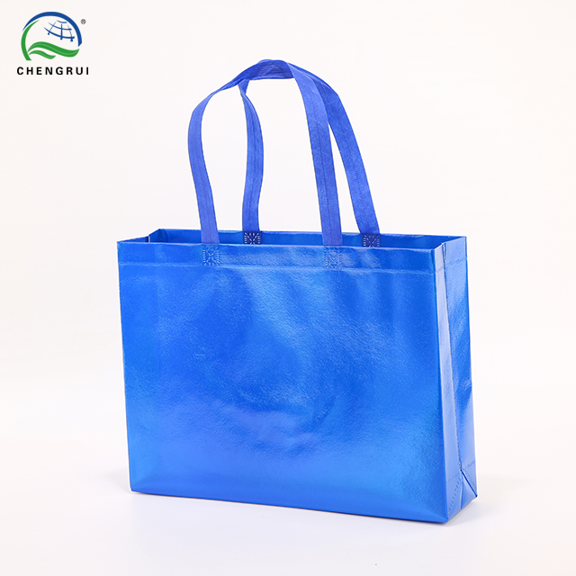 Holographic Gusseted Bag